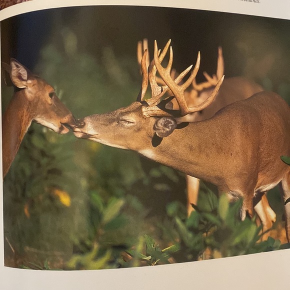 Our Pennsylvania Coffee Table Book - Picture 13 of 13